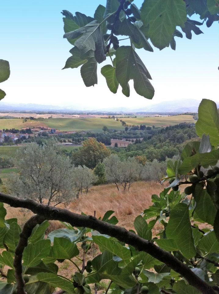 فيلا Agriturismo Il Palazzaccio Galliano المظهر الخارجي الصورة
