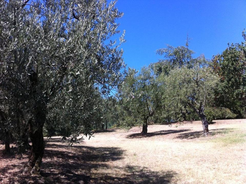 فيلا Agriturismo Il Palazzaccio Galliano المظهر الخارجي الصورة