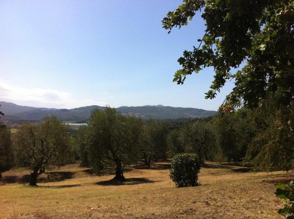 فيلا Agriturismo Il Palazzaccio Galliano المظهر الخارجي الصورة